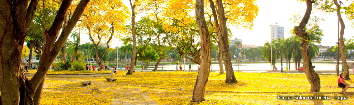 Parque Solon de Lucena